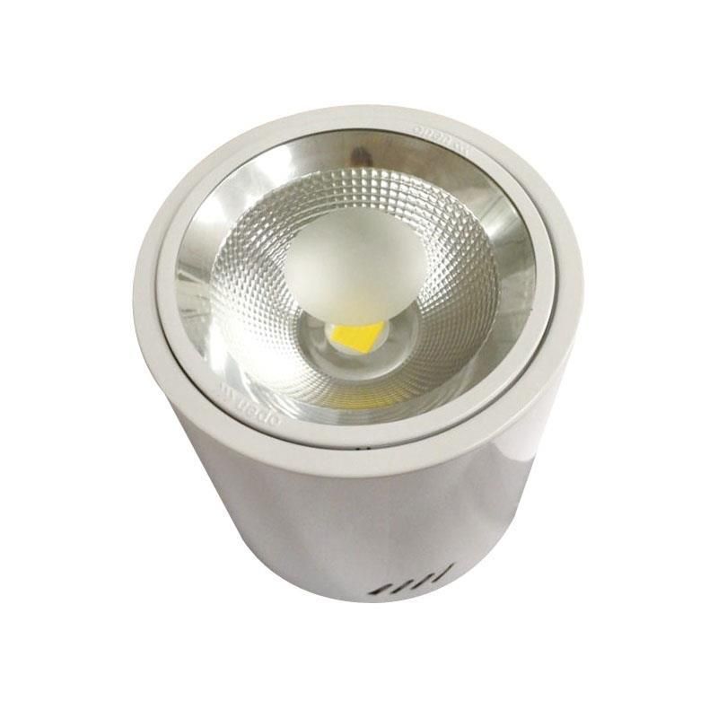 50W LED COB Εξωτερικό Downlight Πύργος EPISTAR